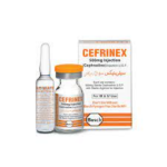 Cefrinex 500mg Inj