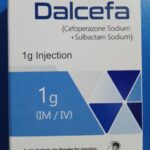 Dalcefa 1gm Injection